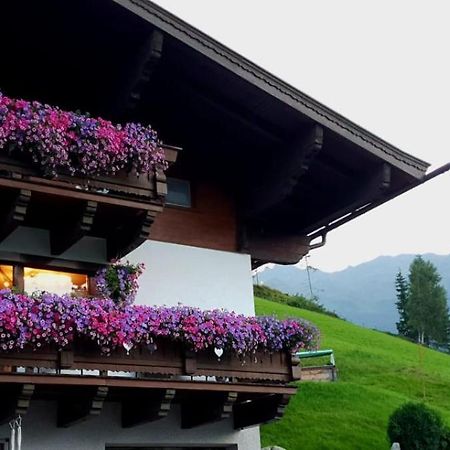 Hinterreithlehen - Ferienwohnung Am Bauernhof Mittersill Dış mekan fotoğraf